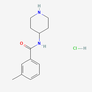 molecular formula C13H19ClN2O B1435116 3-甲基-N-(哌啶-4-基)苯甲酰胺盐酸盐 CAS No. 1829704-81-5