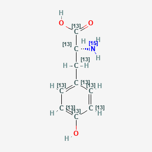 molecular formula C9H11NO3 B1435250 (~13~C_9_,~15~N)酪氨酸 CAS No. 202407-26-9