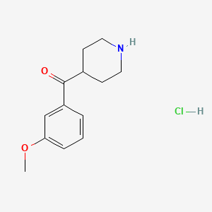 molecular formula C13H18ClNO2 B1435327 4-(3-甲氧基苯甲酰)哌啶盐酸盐 CAS No. 213886-99-8