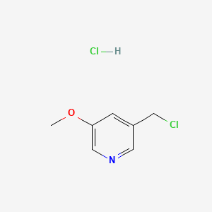 B1435371 3-(Chloromethyl)-5-methoxypyridine hydrochloride CAS No. 1801422-13-8