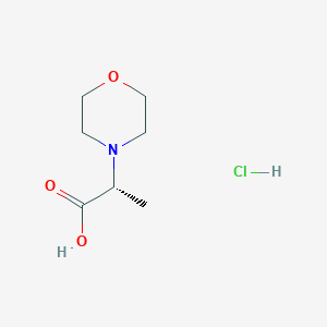 molecular formula C7H14ClNO3 B1435376 (R)-2-Morpholin-4-yl-propionic acid hydrochloride CAS No. 1414960-58-9