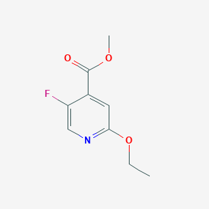 molecular formula C9H10FNO3 B1435381 2-乙氧基-5-氟异烟酸甲酯 CAS No. 1809161-57-6