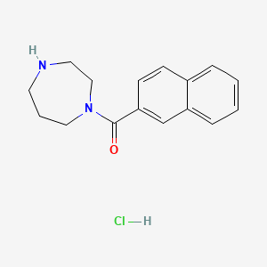 1-(Naphthalene-2-carbonyl)-1,4-diazepane hydrochloride