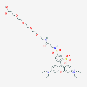 molecular formula C41H56N4O13S2 B1435767 1-(Rhodamin B-sulfonamido)-3-oxo-7,10,13,16-tetraoxa-4-azanonadecan-19-oic acid CAS No. 1334177-85-3