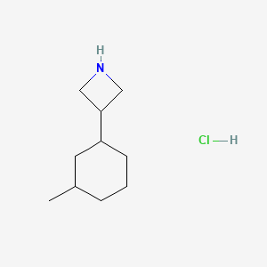 molecular formula C10H20ClN B1435813 3-(3-Methylcyclohexyl)azetidine hydrochloride CAS No. 2059935-41-8