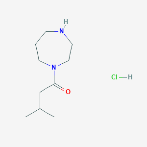 molecular formula C10H21ClN2O B1435844 1-(1,4-Diazepan-1-yl)-3-methylbutan-1-one hydrochloride CAS No. 1955507-38-6