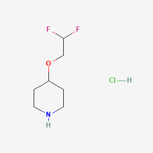 molecular formula C7H14ClF2NO B1435847 4-(2,2-Difluoroethoxy)piperidine hydrochloride CAS No. 1183898-34-1