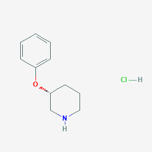 molecular formula C11H16ClNO B1435858 (3R)-3-phenoxypiperidine hydrochloride CAS No. 1909286-59-4