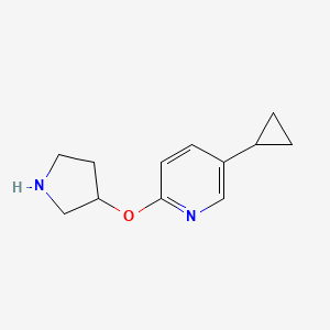 B1435888 5-Cyclopropyl-2-(pyrrolidin-3-yloxy)pyridine CAS No. 2059937-90-3