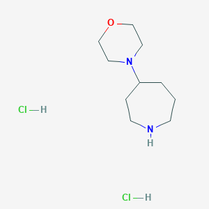 B1435980 4-(4-Morpholinyl)azepane dihydrochloride CAS No. 1001385-15-4