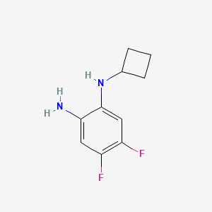 B1436068 N1-Cyclobutyl-4,5-difluorobenzene-1,2-diamine CAS No. 1863656-13-6