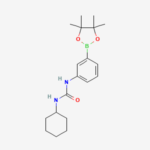 B1436091 1-Cyclohexyl-3-(3-(4,4,5,5-tetramethyl-1,3,2-dioxaborolan-2-yl)phenyl)urea CAS No. 874299-12-4
