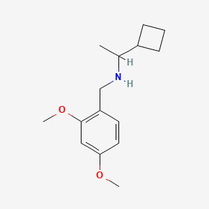 B1436332 (1-Cyclobutylethyl)[(2,4-dimethoxyphenyl)methyl]amine CAS No. 1774933-39-9