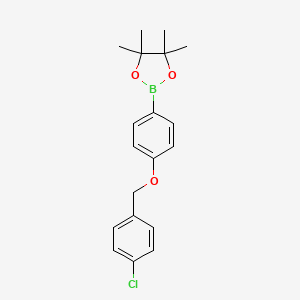 molecular formula C19H22BClO3 B1436395 1,3,2-二氧杂硼烷，2-[4-[(4-氯苯基)甲氧基]苯基]-4,4,5,5-四甲基- CAS No. 2246937-34-6