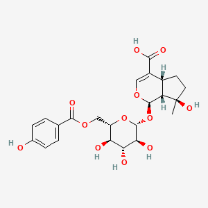 molecular formula C23H28O12 B1436438 6'-(对羟基苯甲酰)木犀草苷酸 CAS No. 87667-61-6