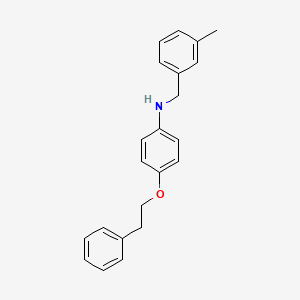 molecular formula C22H23NO B1437331 N-(3-甲基苄基)-4-(苯乙氧基)苯胺 CAS No. 1040693-82-0