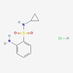 molecular formula C9H13ClN2O2S B1437397 2-氨基-N-环丙基苯-1-磺酰胺盐酸盐 CAS No. 1171358-67-0