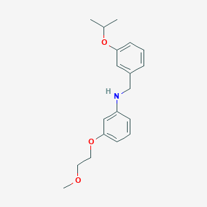 molecular formula C19H25NO3 B1437547 N-(3-异丙氧基苄基)-3-(2-甲氧基乙氧基)苯胺 CAS No. 1040686-79-0