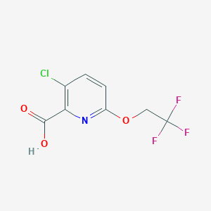 molecular formula C8H5ClF3NO3 B1437579 3-氯-6-(2,2,2-三氟乙氧基)吡啶-2-羧酸 CAS No. 1021043-31-1