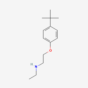 molecular formula C14H23NO B1437582 N-{2-[4-(叔丁基)苯氧基]乙基}-N-乙胺 CAS No. 1039836-68-4