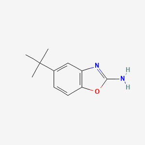 molecular formula C11H14N2O B1437808 5-叔丁基-1,3-苯并恶唑-2-胺 CAS No. 947505-01-3