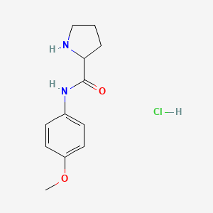 molecular formula C12H17ClN2O2 B1438009 N-(4-Methoxyphenyl)-2-pyrrolidinecarboxamide hydrochloride CAS No. 1219404-87-1