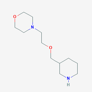 molecular formula C12H24N2O2 B1438049 4-[2-(3-哌啶基甲氧基)乙基]吗啉 CAS No. 946713-06-0