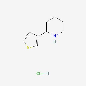 B1438051 2-(Thiophen-3-yl)piperidine hydrochloride CAS No. 1187173-80-3