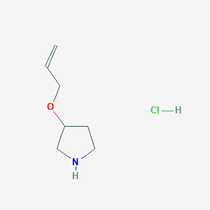 B1438056 3-(Allyloxy)pyrrolidine hydrochloride CAS No. 1185299-07-3