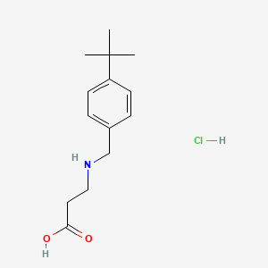 molecular formula C14H22ClNO2 B1438092 3-{[(4-叔丁基苯基)甲基]氨基}丙酸盐酸盐 CAS No. 1170629-15-8