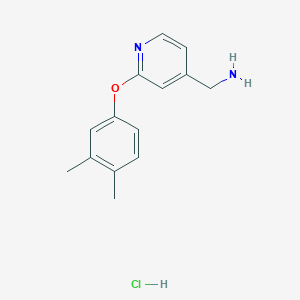 molecular formula C14H17ClN2O B1438094 [2-(3,4-Dimethylphenoxy)pyridin-4-yl]methanamine hydrochloride CAS No. 1172735-47-5