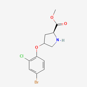 molecular formula C12H13BrClNO3 B1438135 methyl (2S)-4-(4-bromo-2-chlorophenoxy)pyrrolidine-2-carboxylate CAS No. 1217616-11-9