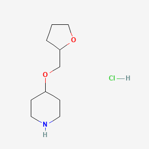 molecular formula C10H20ClNO2 B1438146 4-(Tetrahydro-2-furanylmethoxy)piperidine hydrochloride CAS No. 1174044-75-7