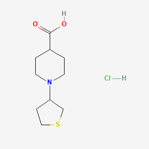 molecular formula C10H18ClNO2S B1438148 1-(四氢-3-噻吩基)哌啶-4-羧酸盐酸盐 CAS No. 1185299-73-3