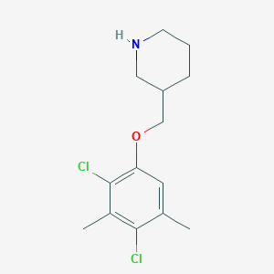 molecular formula C14H19Cl2NO B1438150 3-[(2,4-Dichloro-3,5-dimethylphenoxy)methyl]-piperidine CAS No. 946680-42-8