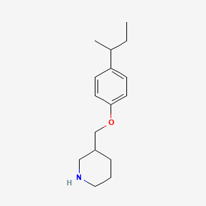 molecular formula C16H25NO B1438158 3-{[4-(sec-Butyl)phenoxy]methyl}piperidine CAS No. 946724-90-9