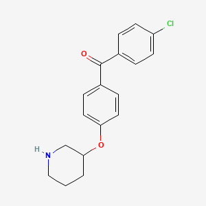 molecular formula C18H18ClNO2 B1438160 (4-氯苯基)[4-(3-哌啶氧基)苯基]-甲酮 CAS No. 946759-28-0