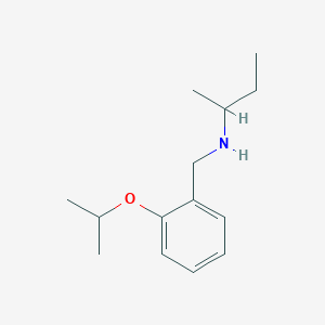 molecular formula C14H23NO B1438243 N-(2-Isopropoxybenzyl)-2-butanamine CAS No. 1040692-78-1