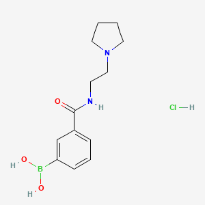 molecular formula C13H20BClN2O3 B1438510 (3-((2-(Pyrrolidin-1-yl)ethyl)carbamoyl)phenyl)boronic acid hydrochloride CAS No. 957061-03-9