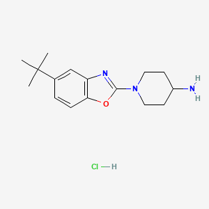 molecular formula C16H24ClN3O B1438518 1-(5-Tert-butyl-1,3-benzoxazol-2-yl)piperidin-4-amine hydrochloride CAS No. 1158642-22-8