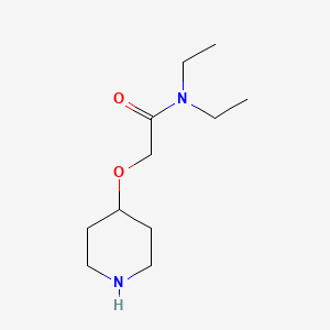 molecular formula C11H22N2O2 B1439093 N,N-Diethyl-2-(4-piperidinyloxy)-acetamide CAS No. 1097828-89-1