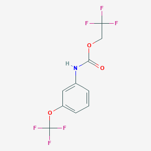 molecular formula C10H7F6NO3 B1439104 2,2,2-Trifluoroethyl 3-(trifluoromethoxy)phenylcarbamate CAS No. 1087788-54-2