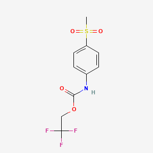 molecular formula C10H10F3NO4S B1439110 2,2,2-三氟乙基 4-(甲磺酰基)苯基氨基甲酸酯 CAS No. 1087788-82-6