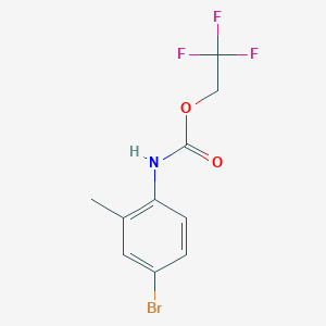 molecular formula C10H9BrF3NO2 B1439119 2,2,2-三氟乙基-N-(4-溴-2-甲基苯基)氨基甲酸酯 CAS No. 1087798-29-5