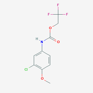 molecular formula C10H9ClF3NO3 B1439120 2,2,2-三氟乙基 N-(3-氯-4-甲氧基苯基)氨基甲酸酯 CAS No. 311316-81-1