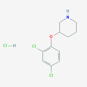 molecular formula C11H14Cl3NO B1439156 3-(2,4-Dichlorophenoxy)piperidine hydrochloride CAS No. 1185302-73-1