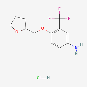molecular formula C12H15ClF3NO2 B1439168 4-(四氢-2-呋喃甲氧基)-3-(三氟甲基)苯胺盐酸盐 CAS No. 1185297-57-7