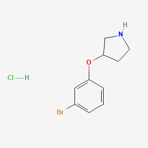 molecular formula C10H13BrClNO B1439170 3-(3-溴苯氧基)吡咯烷盐酸盐 CAS No. 1185298-69-4