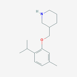 B1439215 3-[(2-Isopropyl-5-methylphenoxy)methyl]piperidine CAS No. 946680-16-6