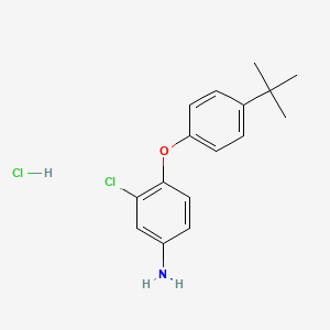 molecular formula C16H19Cl2NO B1439252 4-[4-(叔丁基)苯氧基]-3-氯苯胺盐酸盐 CAS No. 1185296-96-1